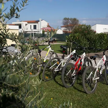 Beautiful Rampic With Private Pool Near The In Fažana